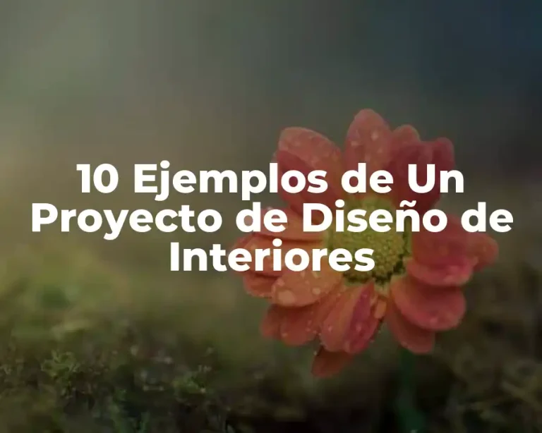 10 Ejemplos de Un Proyecto de Diseño de Interiores