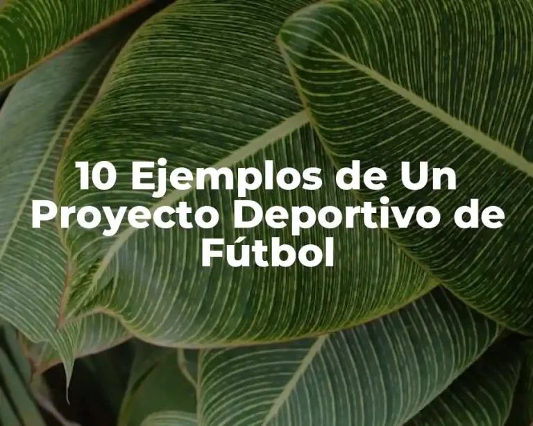 10 Ejemplos de Un Proyecto Deportivo de Fútbol