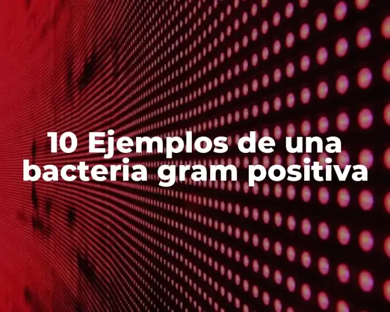 10 Ejemplos de una bacteria gram positiva