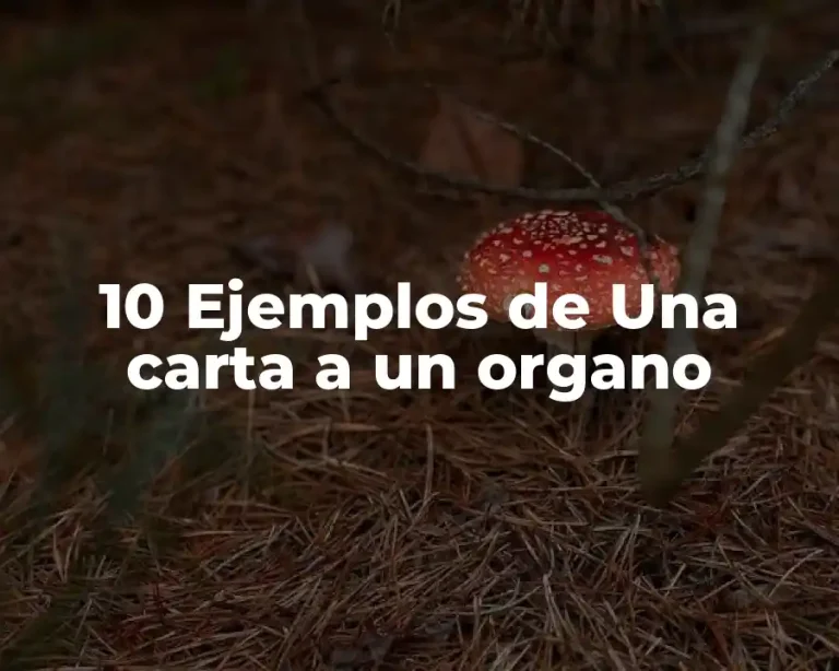 10 Ejemplos de Una carta a un organo