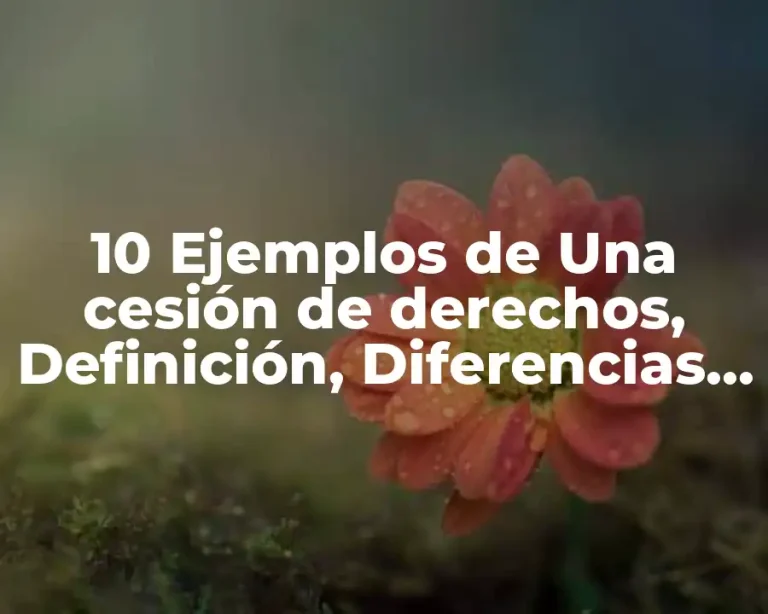 10 Ejemplos de Una cesión de derechos, Definición, Diferencias y para que sirve