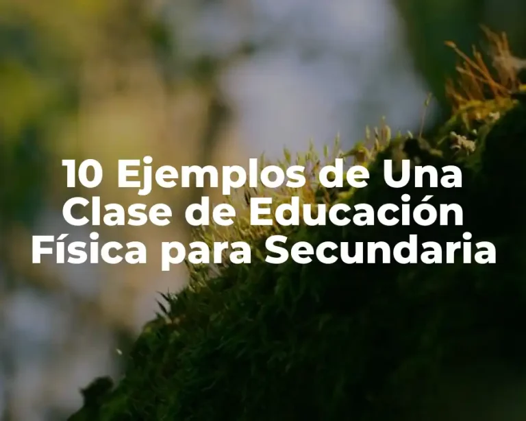 10 Ejemplos de Una Clase de Educación Física para Secundaria