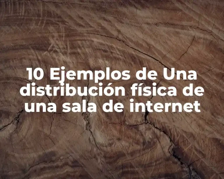 10 Ejemplos de Una distribución física de una sala de internet