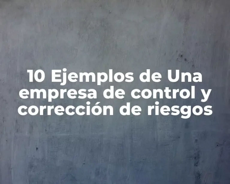 10 Ejemplos de Una empresa de control y corrección de riesgos