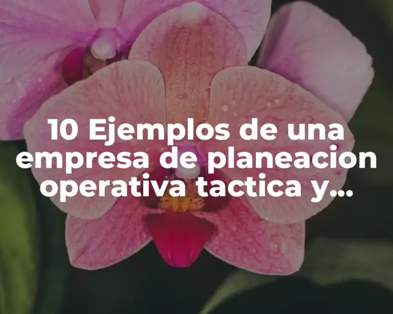 10 Ejemplos de una empresa de planeacion operativa tactica y estrategica