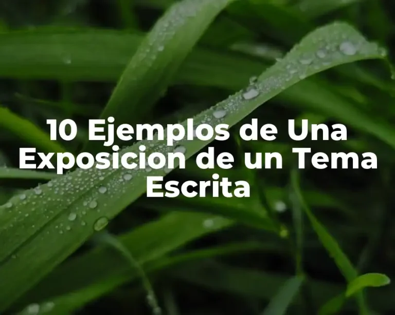 10 Ejemplos de Una Exposicion de un Tema Escrita