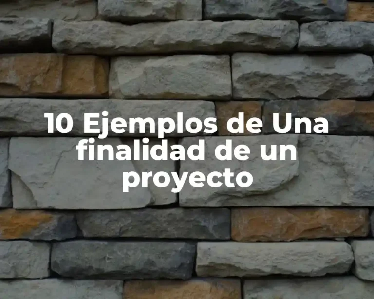 10 Ejemplos de Una finalidad de un proyecto