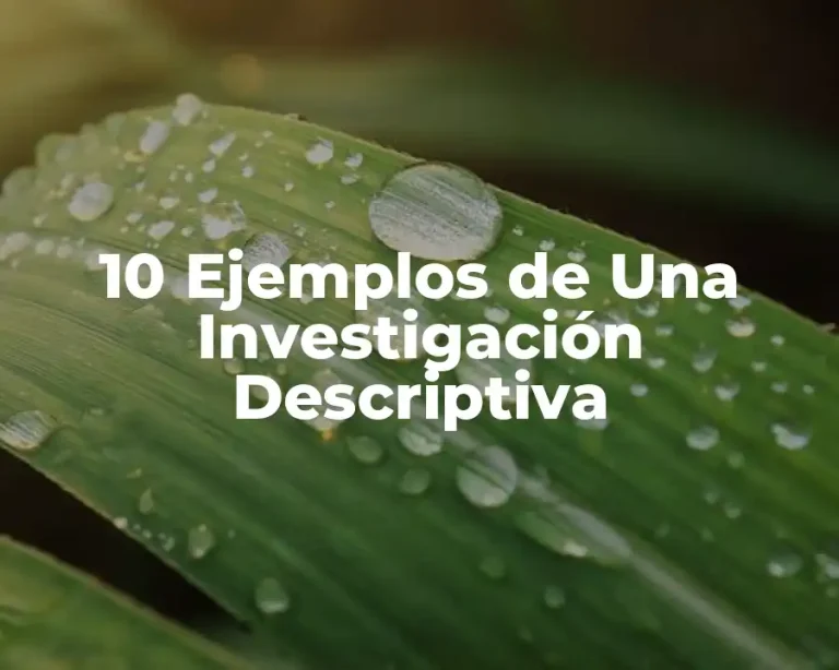 10 Ejemplos de Una Investigación Descriptiva