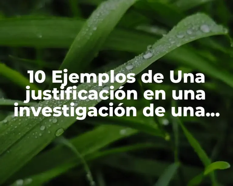 10 Ejemplos de Una justificación en una investigación de una empresa