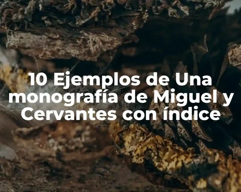 10 Ejemplos de Una monografía de Miguel y Cervantes con índice