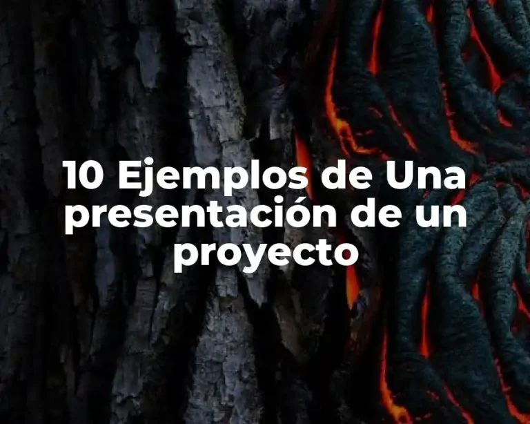 10 Ejemplos de Una presentación de un proyecto