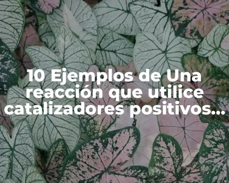 10 Ejemplos de Una reacción que utilice catalizadores positivos y negativos