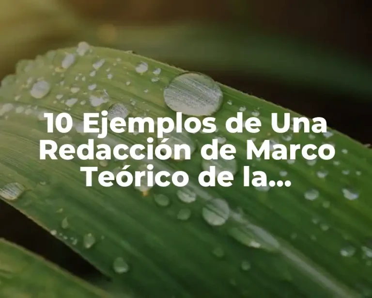 10 Ejemplos de Una Redacción de Marco Teórico de la Deforestación