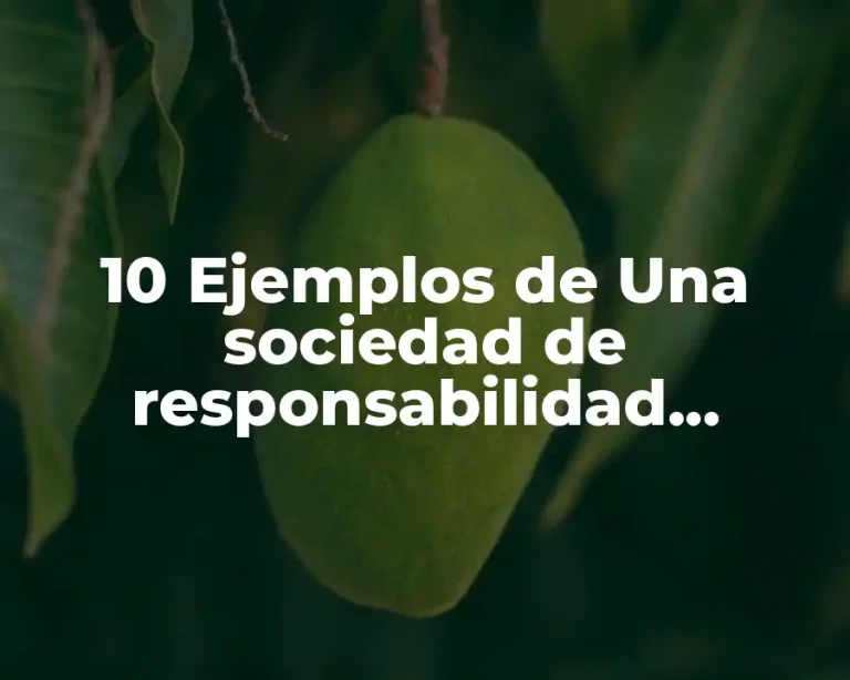 10 Ejemplos de Una sociedad de responsabilidad limitada