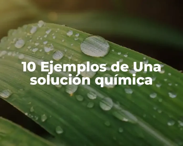 10 Ejemplos de Una solución química