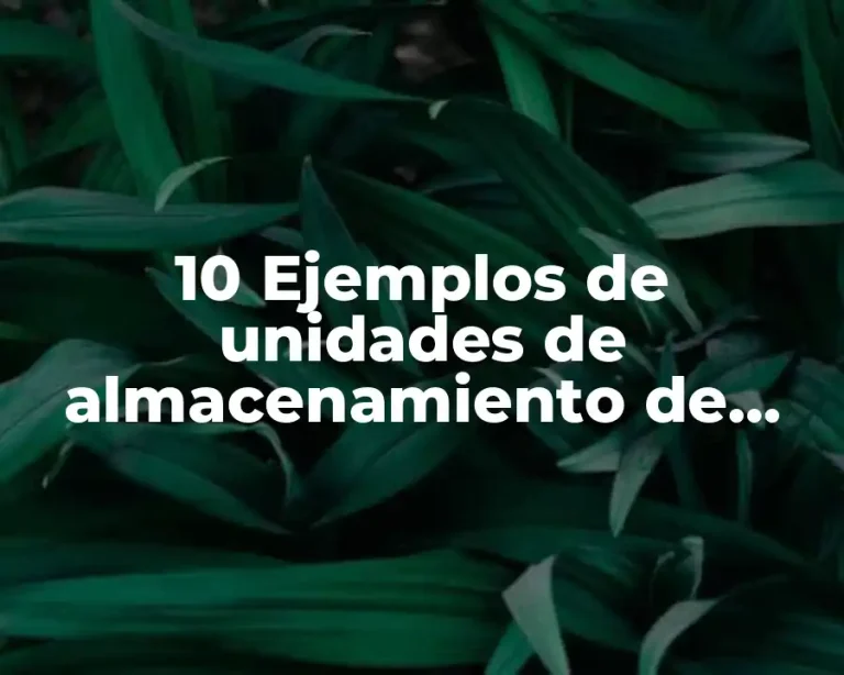 10 Ejemplos de unidades de almacenamiento de petabyte exabyte y zetabyte