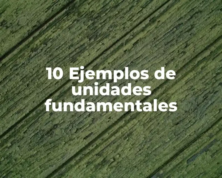 10 Ejemplos de unidades fundamentales