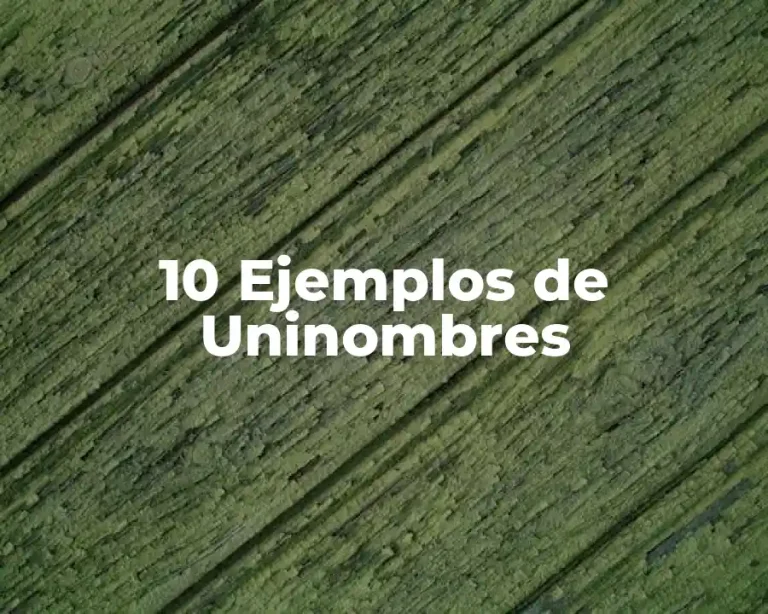 10 Ejemplos de Uninombres