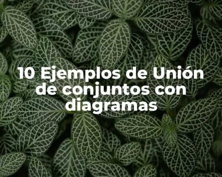 10 Ejemplos de Unión de conjuntos con diagramas