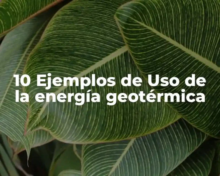 10 Ejemplos de Uso de la energía geotérmica
