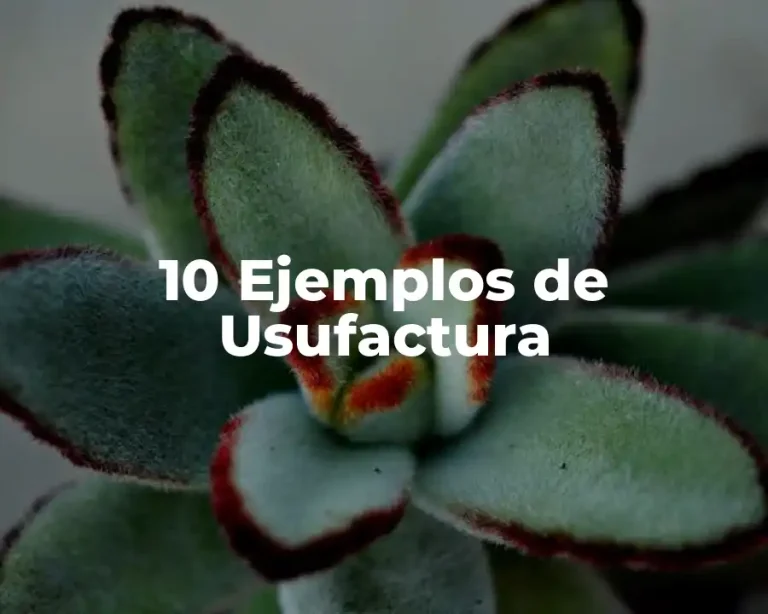 10 Ejemplos de Usufactura