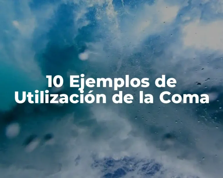 10 Ejemplos de Utilización de la Coma