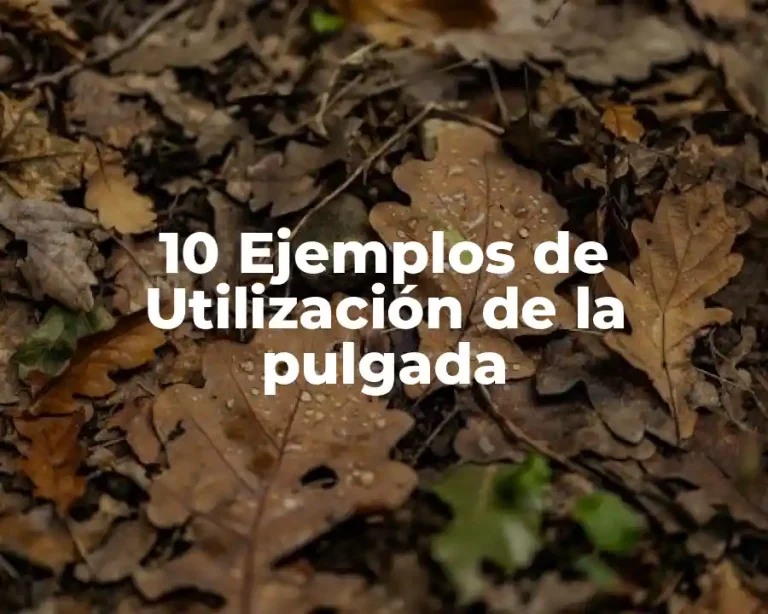 10 Ejemplos de Utilización de la pulgada
