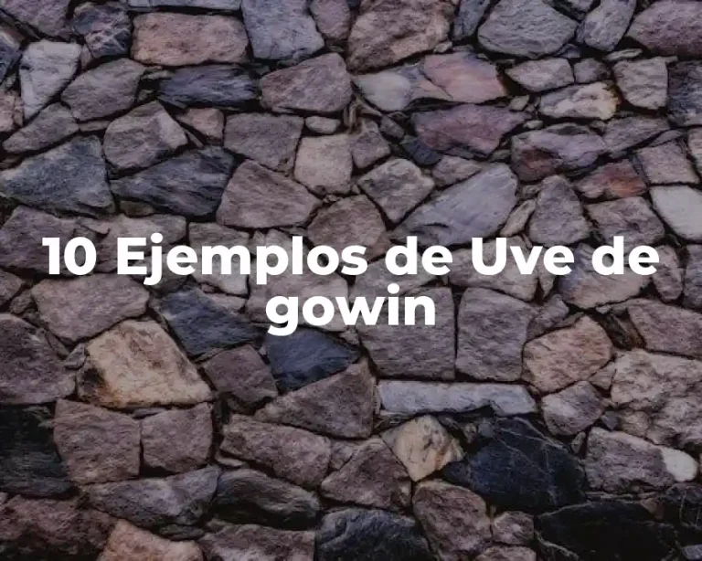 10 Ejemplos de Uve de gowin