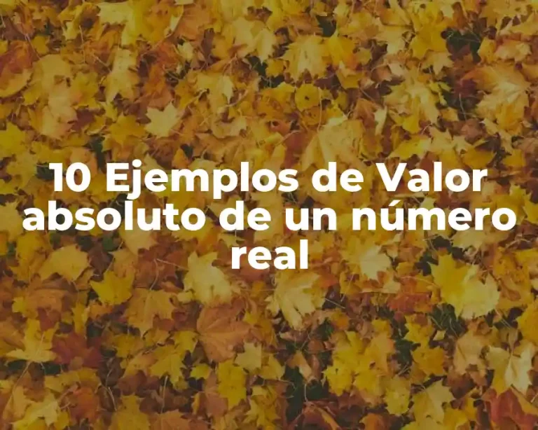 10 Ejemplos de Valor absoluto de un número real