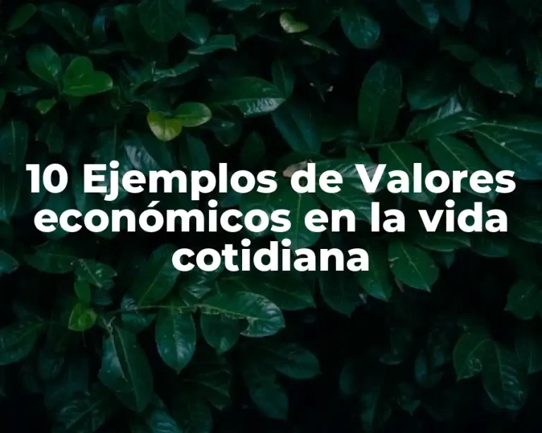 10 Ejemplos de Valores económicos en la vida cotidiana