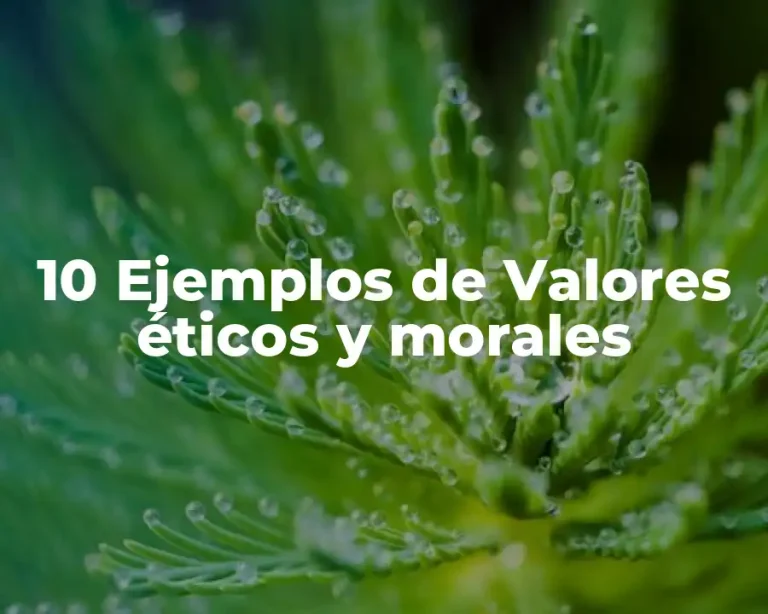 10 Ejemplos de Valores éticos y morales