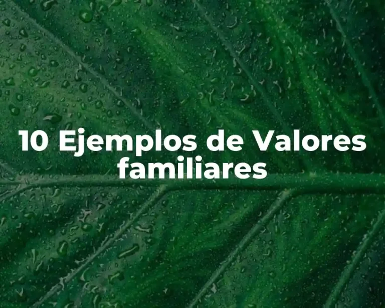 10 Ejemplos de Valores familiares