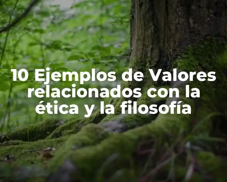 10 Ejemplos de Valores relacionados con la ética y la filosofía