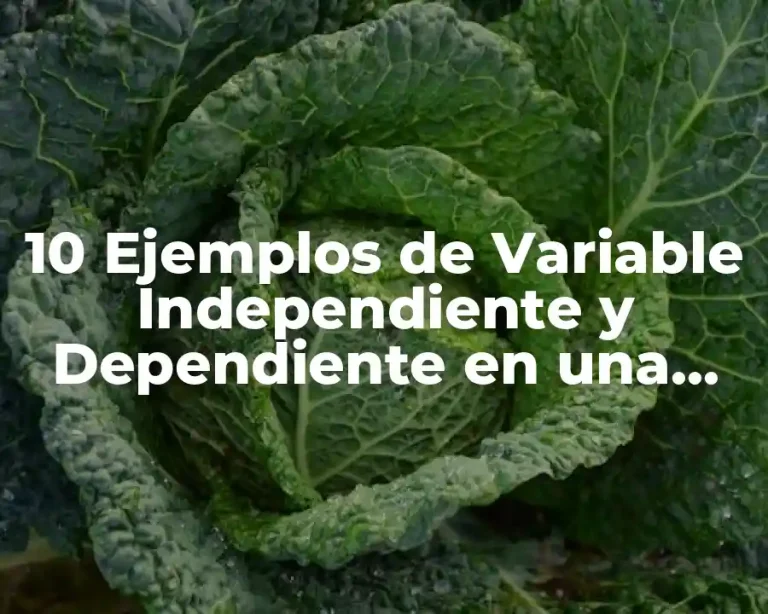 10 Ejemplos de Variable Independiente y Dependiente en una Investigación
