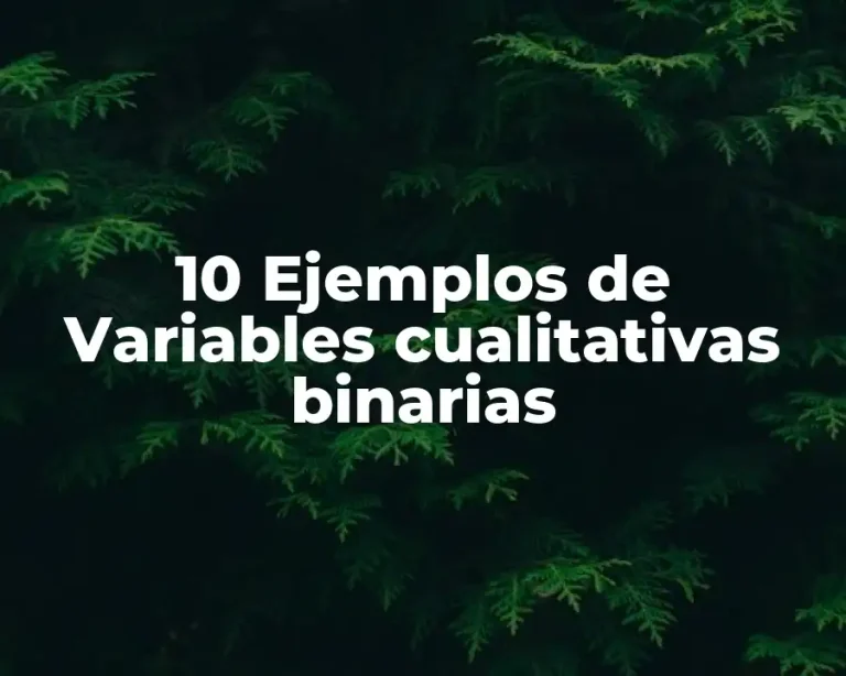 10 Ejemplos de Variables cualitativas binarias
