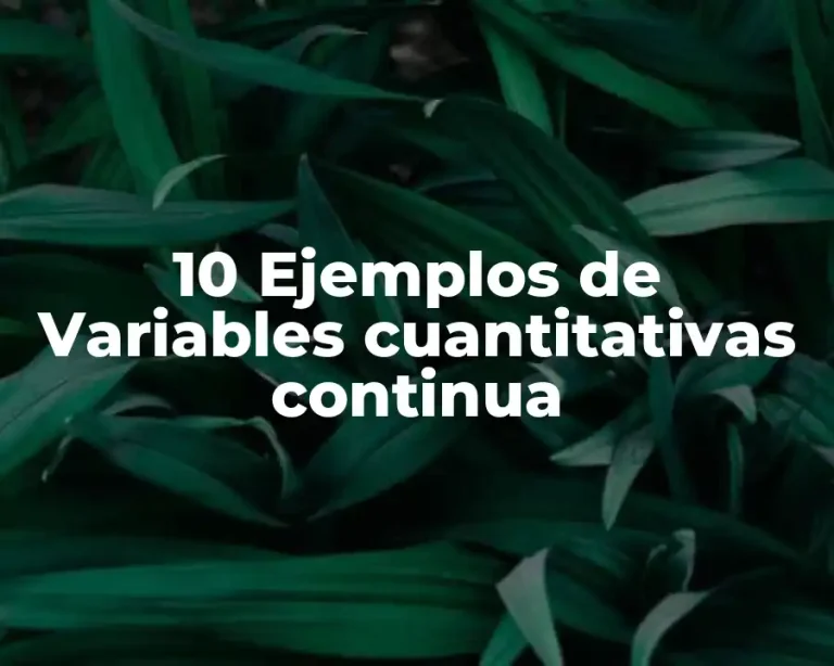 10 Ejemplos de Variables cuantitativas continua