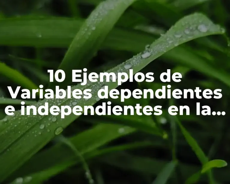 10 Ejemplos de Variables dependientes e independientes en la vida cotidiana