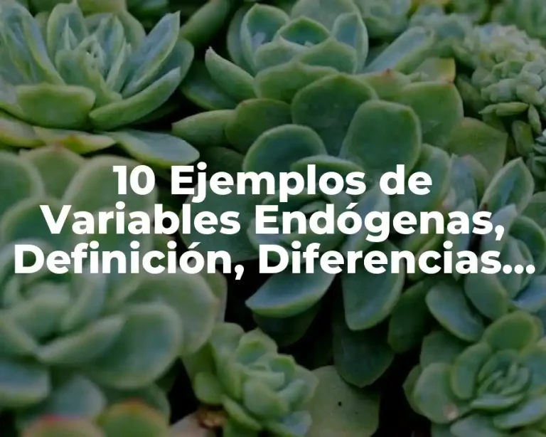 10 Ejemplos de Variables Endógenas, Definición, Diferencias y para que sirve
