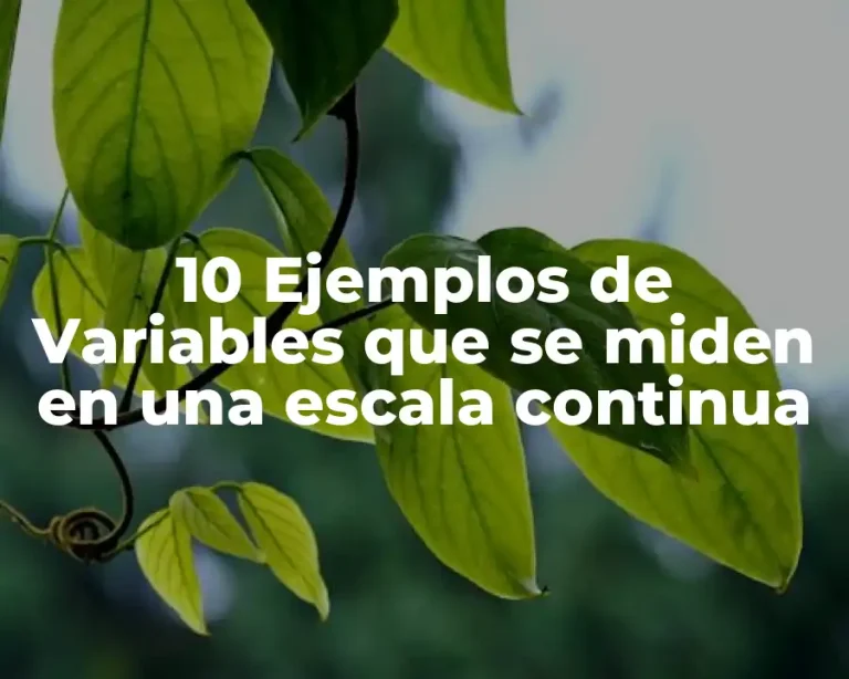 10 Ejemplos de Variables que se miden en una escala continua