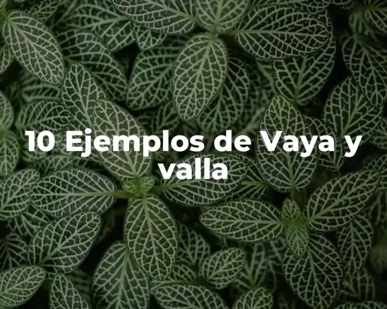 10 Ejemplos de Vaya y valla