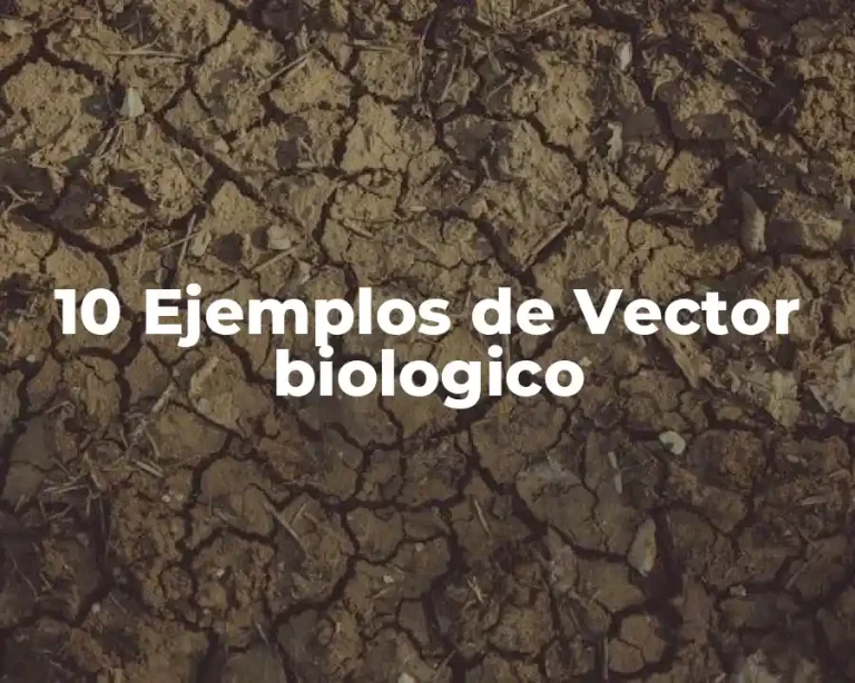10 Ejemplos de Vector biologico