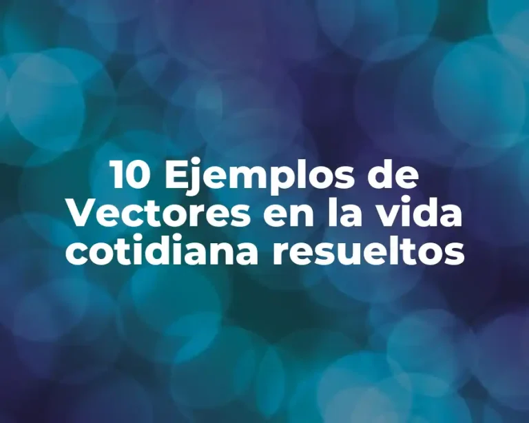 10 Ejemplos de Vectores en la vida cotidiana resueltos