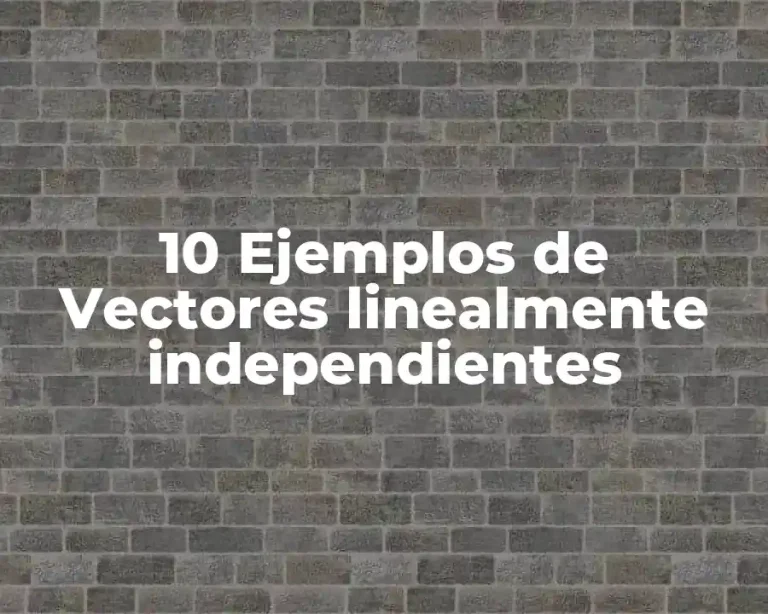 10 Ejemplos de Vectores linealmente independientes