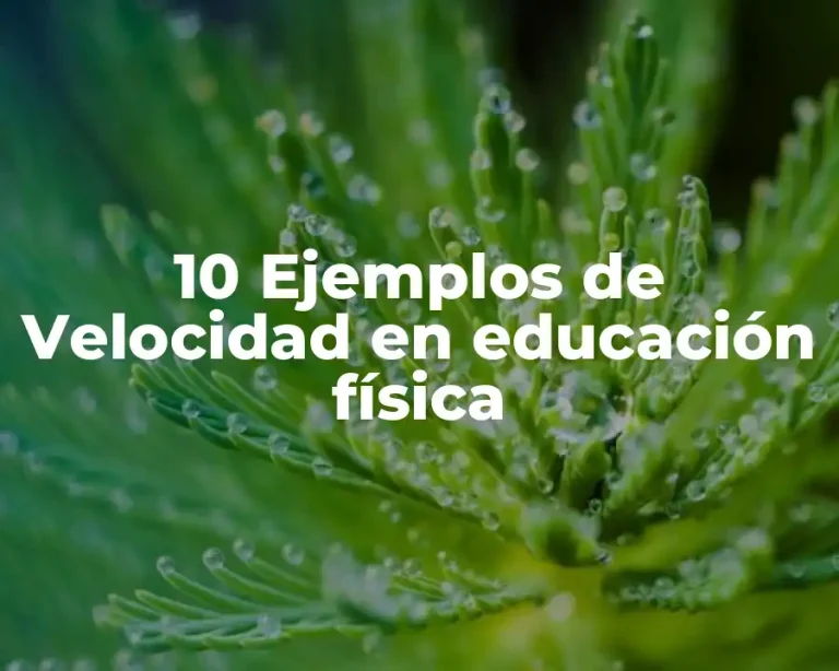 10 Ejemplos de Velocidad en educación física