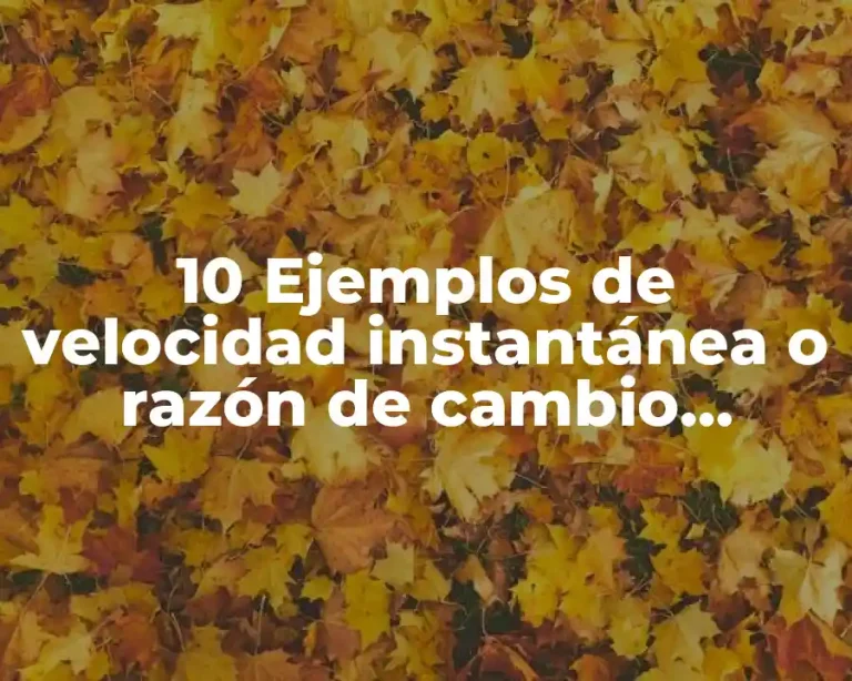 10 Ejemplos de velocidad instantánea o razón de cambio instantáneo