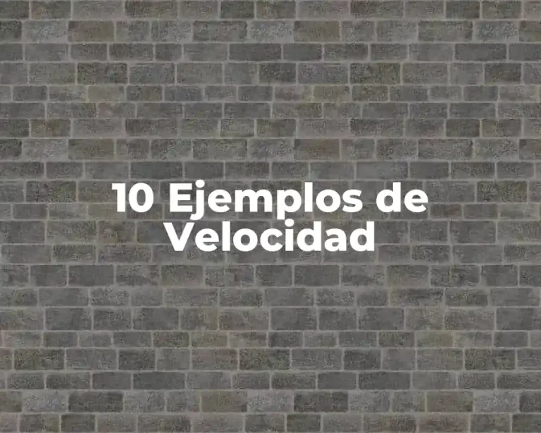 10 Ejemplos de Velocidad