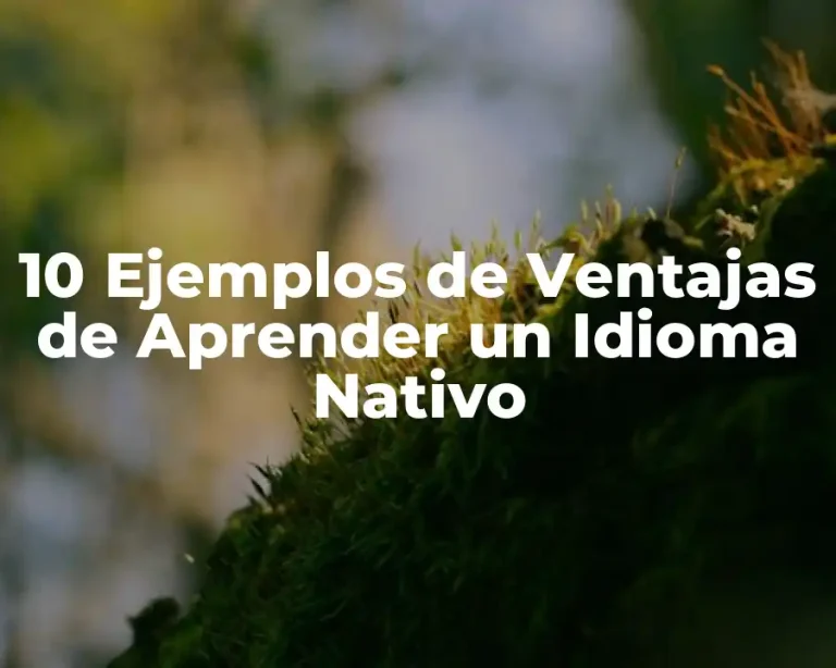 10 Ejemplos de Ventajas de Aprender un Idioma Nativo