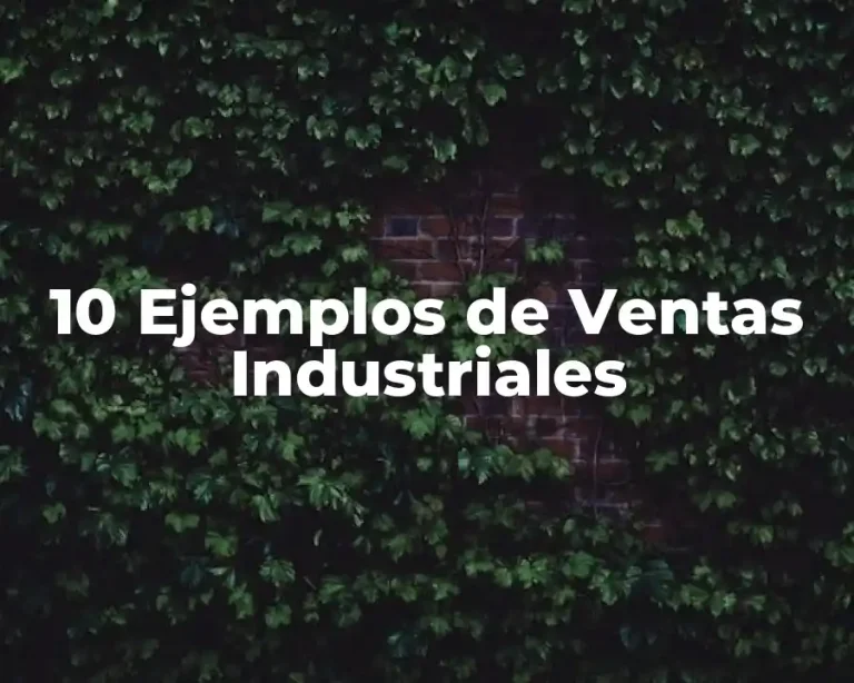 10 Ejemplos de Ventas Industriales