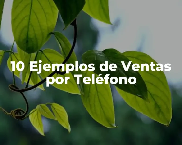 10 Ejemplos de Ventas por Teléfono