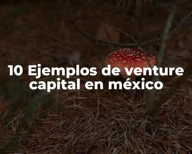 10 Ejemplos de venture capital en méxico